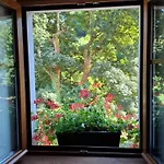 Maison Les Geraniums Parking Prive * Linthal