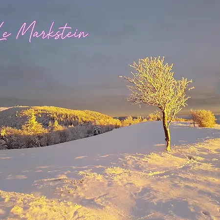 Maison Les Géraniums Parking Privé Moto Hébergement de vacances *