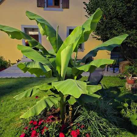 Maison Les Geraniums Parking Prive بيت للعطل *