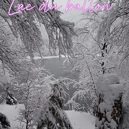 Maison Les Geraniums Parking Prive Moto Holiday home Linthal