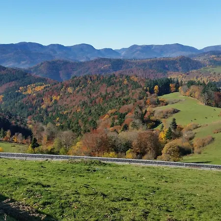Maison Les Géraniums Parking Privé Moto Hébergement de vacances Linthal