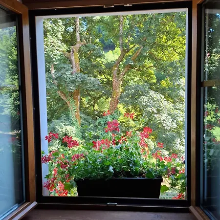 Maison Les Geraniums Parking Prive Moto * Linthal