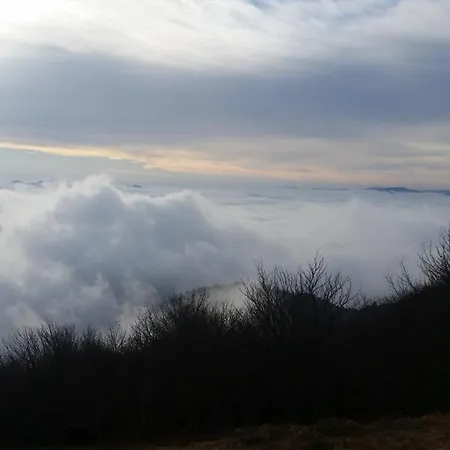 Maison Les Geraniums Parking Prive * Linthal