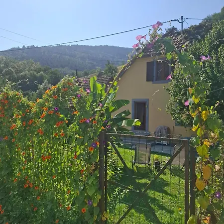 Holiday home Maison Les Geraniums Parking Prive Linthal