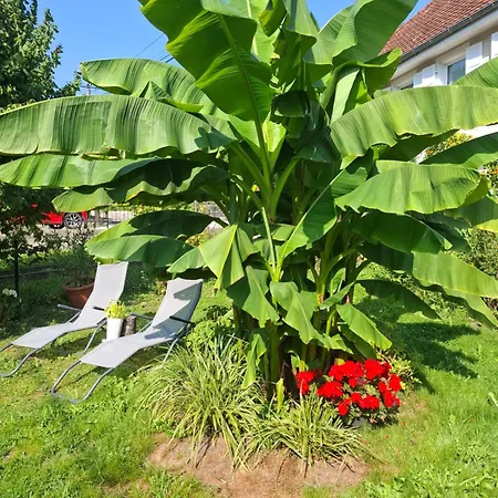 Maison Les Géraniums Parking Privé Moto *