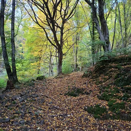 Hébergement de vacances Maison Les Géraniums Parking Privé Moto Linthal