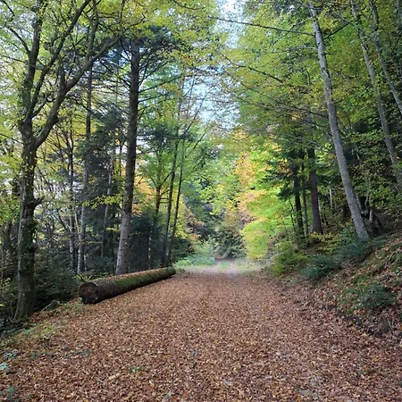 Maison Les Geraniums Parking Prive * Linthal
