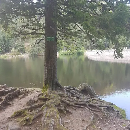 Maison Les Geraniums Parking Prive Linthal