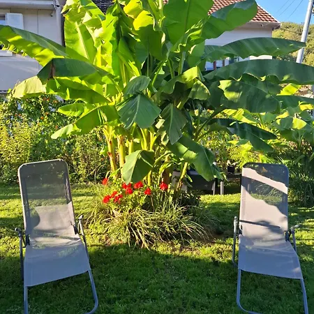Maison Les Geraniums Parking Prive Holiday home