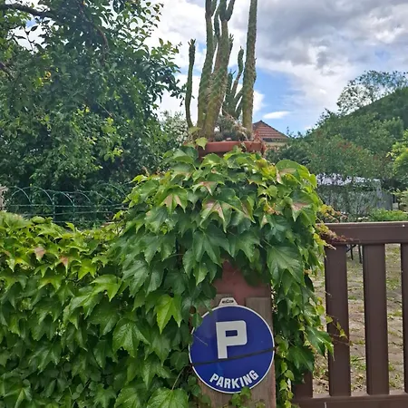 Maison Les Géraniums Parking Privé Moto Casa vacanze Linthal