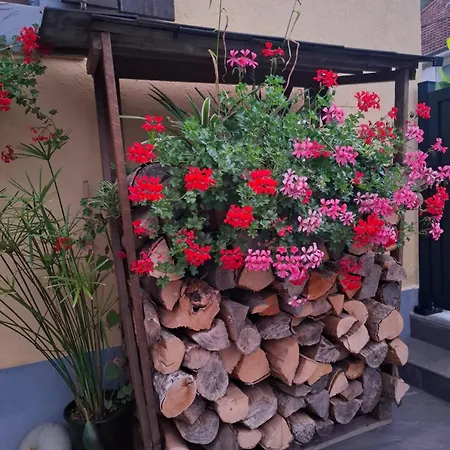 Vakantiehuis Maison Les Geraniums Parking Prive *