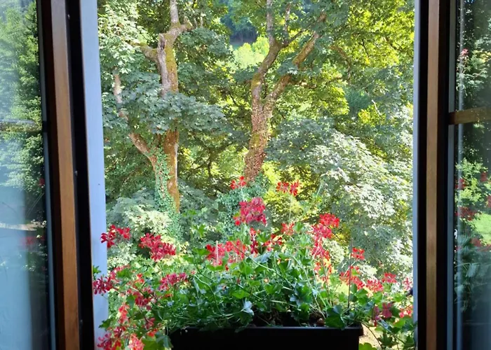 Maison Les Geraniums Parking Prive * Linthal