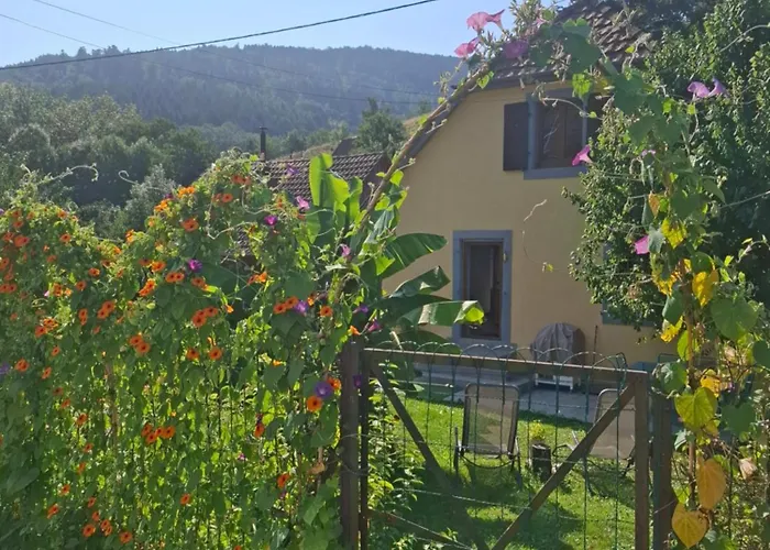 Ferienhaus Maison Les Geraniums Parking Prive Linthal